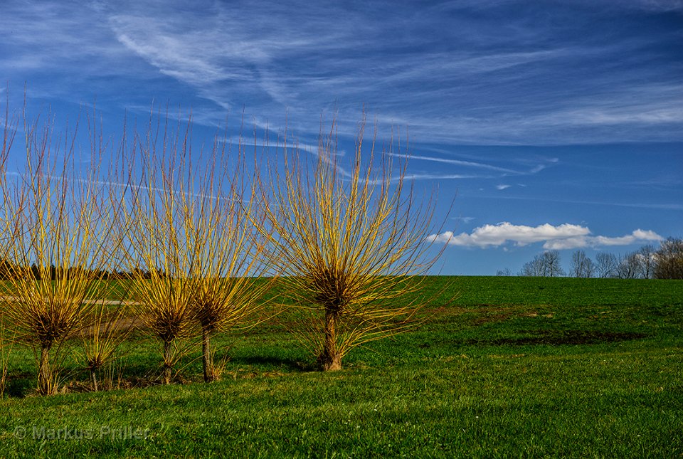 2013.04.15 161239 Rundfahrt Bodensee k